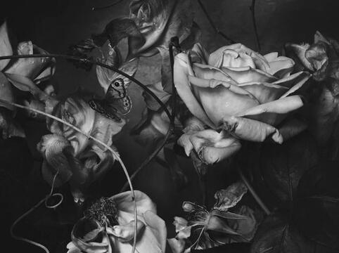 what is locketphoria? ๐ญ